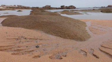 Ploumanach, Brittany, Fransa 'nın pembe granit sahillerinde muhteşem pembe parlak kaya oluşumlarıyla yürüyün.