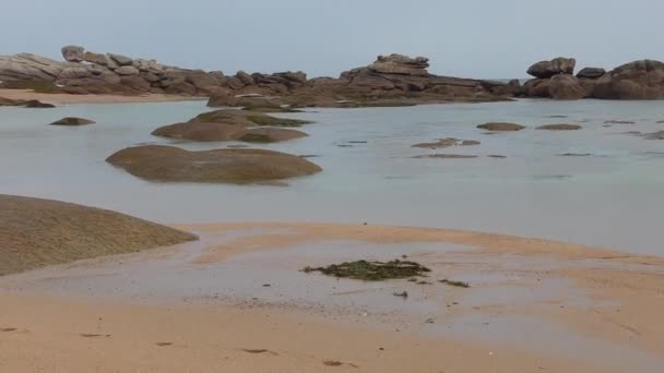 Promenade Sur Côte Granit Rose Ploumanach Bretagne France Avec Ses — Video