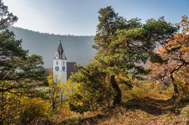 Senftenberg, Aşağı Avusturya 'daki Idyllic Autum Manzarası, 26.10.2019. Üzüm bağlarının ortasında, parlak sarı renkte küçük şirin bir kilise. Senftenberg, Tuna 'da Krem yakınlarında küçük bir köydür.