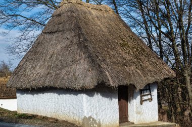 Burgenland Heiligenbrunn 'da bir şarap pres evinin çatısında. Bu şarap mahzeni sokağı Burgenland ve Avusturya 'daki en güzel Kellergasse' lerden biridir. 13.02.2021