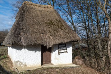 Burgenland Heiligenbrunn 'da bir şarap pres evinin çatısında. Bu şarap mahzeni sokağı Burgenland ve Avusturya 'daki en güzel Kellergasse' lerden biridir. 13.02.2021