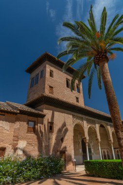İspanya, Granada 'daki Alhambra Sarayı' nın bahçesinde.