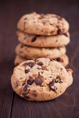 Çikolatalı kurabiye, portre