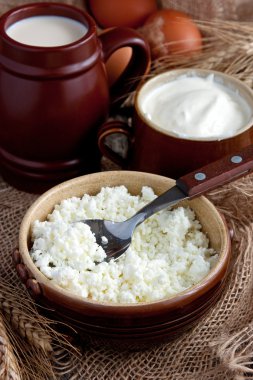 Süt ürünleri çeşitleri