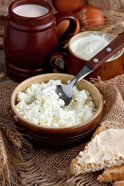 Tasty dairy products on sackcloth background — Stock Photo, Image