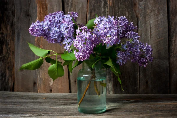 Natureza morta com flores lilás — Fotografia de Stock