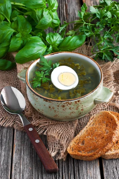 Sopa de verduras frescas tradicionales en el tazón —  Fotos de Stock