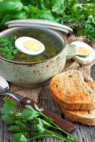 Sopa de verduras con tostadas —  Fotos de Stock