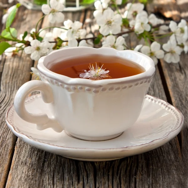 Composition with tea cup and flowers — Stock Photo, Image