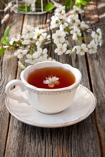 Νεκρή φύση με τσάι Κύπελλο και το άνθος υποκατάστημα — Φωτογραφία Αρχείου