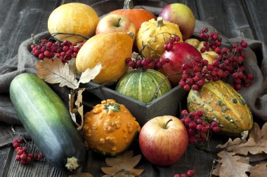 Masada ahşap kutusunda küçük kabak