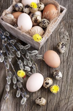  Taze yumurta. Paskalya Tema