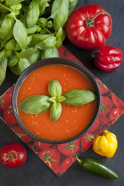 Sopa de tomate fresco — Fotografia de Stock