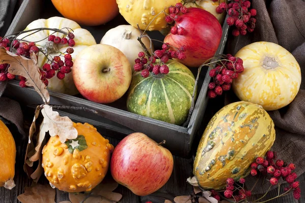 Pequeñas calabazas en caja de madera en la mesa — Foto de Stock