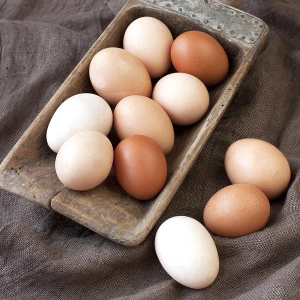 多彩的鸡蛋 — 图库照片