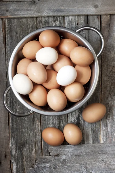 多彩的鸡蛋 — 图库照片