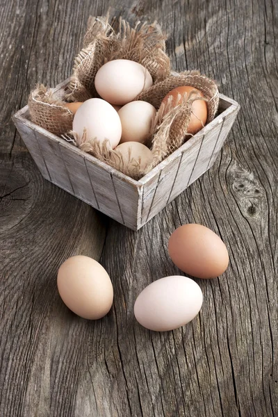 Huevos coloridos de pollo —  Fotos de Stock