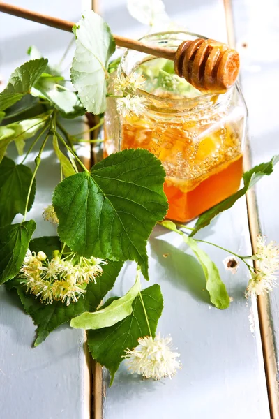 Miele con fiori di tiglio — Foto Stock