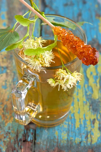Lindenový čaj v průhledném skle a lískových květinách — Stock fotografie