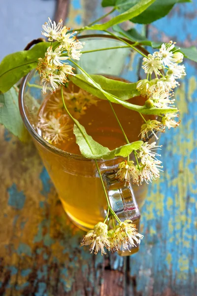 Lindenový čaj v průhledném skle a lískových květinách — Stock fotografie