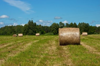 Hayfield ve haystack yaz veya sonbahar alanı