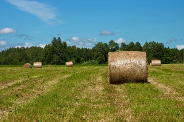 Hayfield ve haystack yaz veya sonbahar alanı