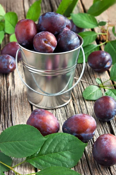 Fresh plums in bucket on wooden board — Stock Photo, Image