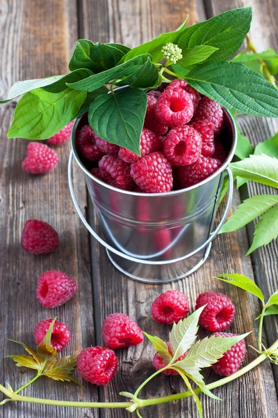 Fresh raspberries on wooden table — Stock Photo, Image