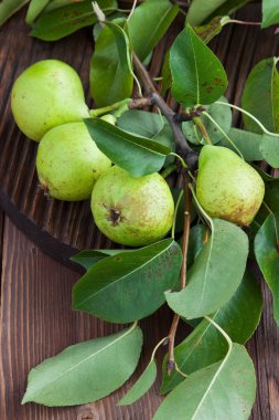  Ahşap tahta üzerinde taze armut