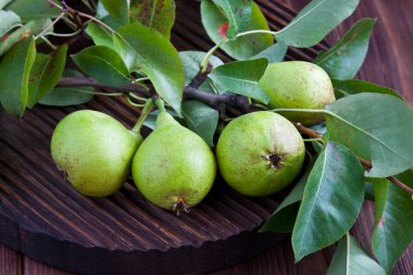  Ahşap tahta üzerinde taze armut