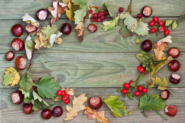 Fond d'automne, espace de copie en bois — Photo