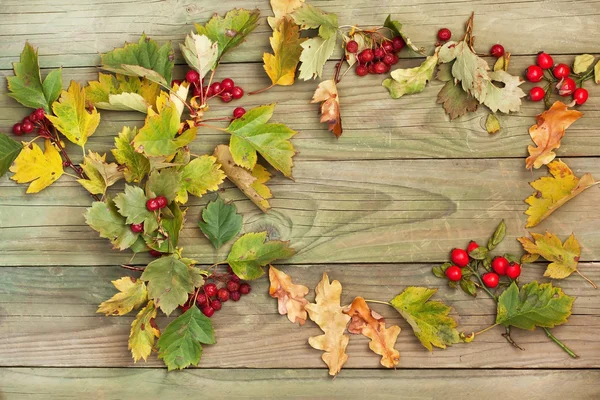 Papier peint d'automne. Fond d'automne avec feuilles . — Photo