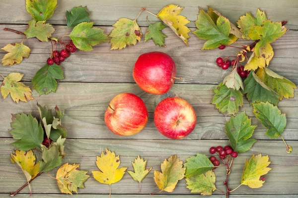 Pommes d'automne aux feuilles — Photo