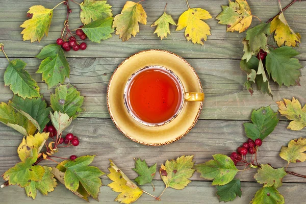 Hot tea with autumn leaves — Stock Photo, Image