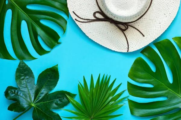 Tropisk Stil Bakgrund Med Halmhatt Och Grön Palm Och Monstera — Stockfoto