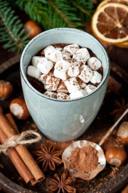Tarçın çubuklu sıcak çikolata, anason, fındık ve kakao tozu, seçici odaklı yakın plan, sığ alan derinliği
