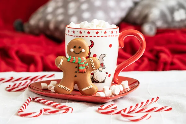 Cup of creamy hot chocolate with melted marshmallows  and gingerbread cookies  for christmas  holiday , close-up with selective focus, shallow depth of field