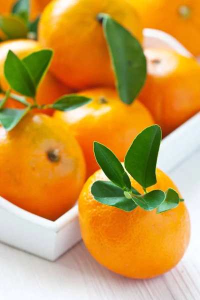 Oranges Mandarines Avec Feuilles Sur Fond Clair Mise Point Sélective — Photo