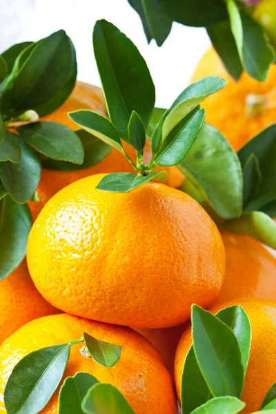 Mandarine Juteuse Mûre Mandarines Orange Aux Feuilles Fraîches Mise Point — Photo