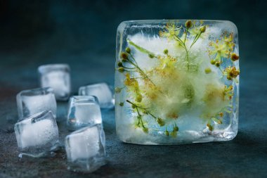 Renk arkaplan üzerinde donmuş ıhlamur çiçekleri ve buz küplerinin bileşimi, sığ alan derinliğine sahip seçici odak