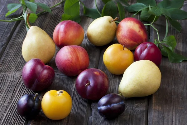 Buah-buahan musim panas berwarna-warni di meja kayu — Stok Foto