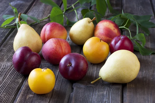Buah-buahan musim panas berwarna-warni di meja kayu — Stok Foto