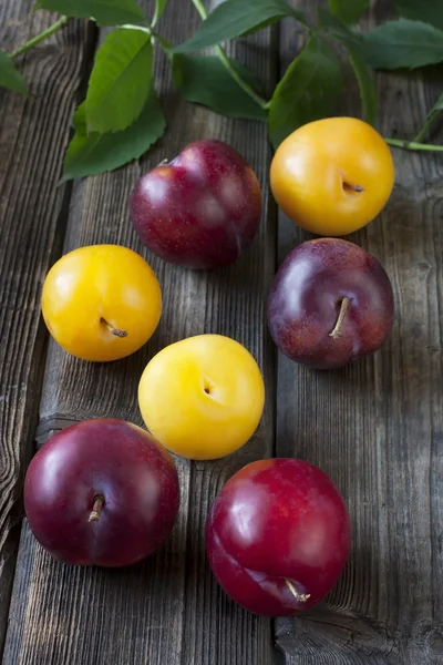 Fresh plums on wooden table — Stock Photo, Image