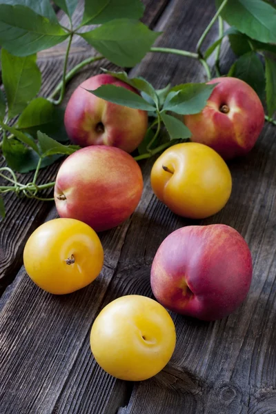 Juicy fresh plums  and nectarines on dark wooden background — Stock Photo, Image