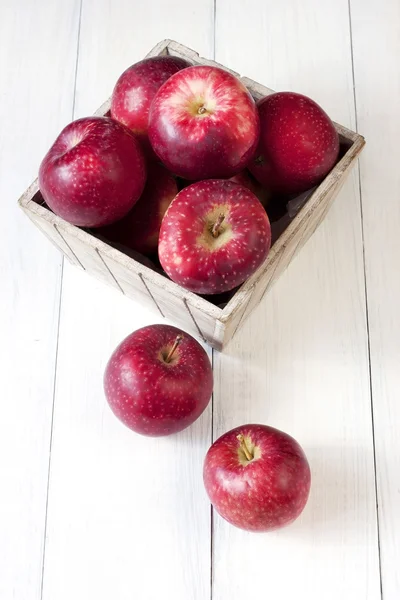 Composition with red apples — Stock Photo, Image