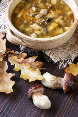 bir bardak taze mantar çorbası