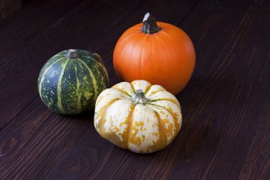 küçük balkabakları