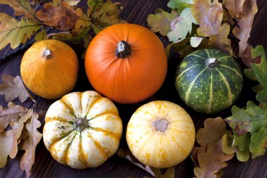 ahşap masa üzerinde taze kabak