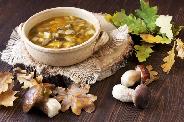 Zuppa di funghi in ciotola di ceramica — Foto Stock