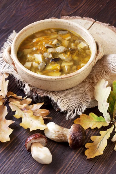 Una tazza di zuppa di funghi freschi — Foto Stock